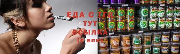 индика Горнозаводск
