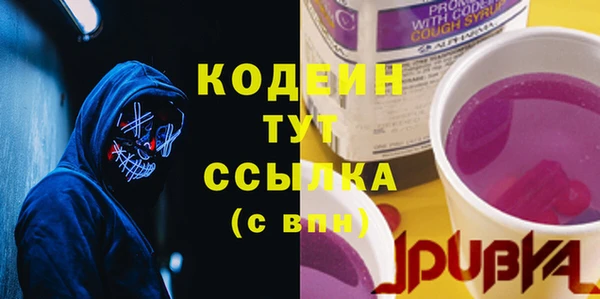 индика Горнозаводск