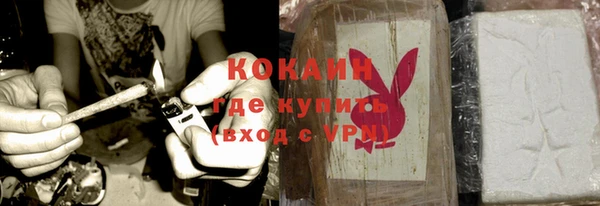 индика Горнозаводск