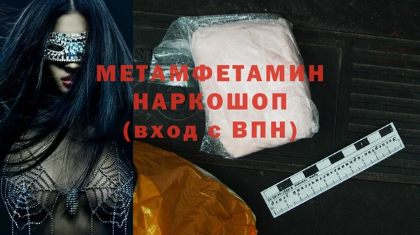 индика Горнозаводск