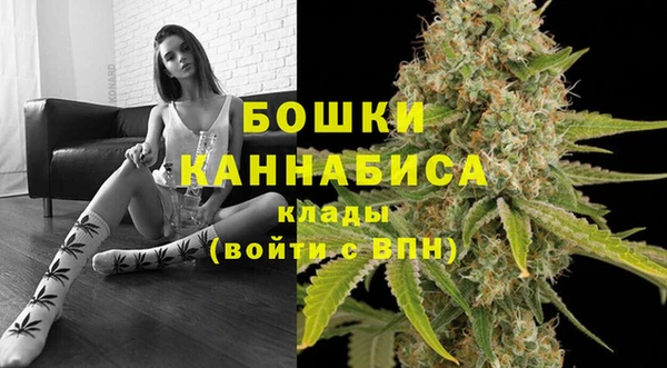 индика Горнозаводск