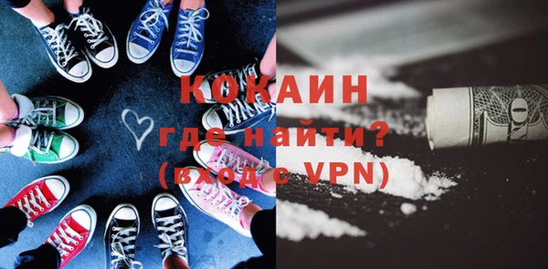 индика Горнозаводск