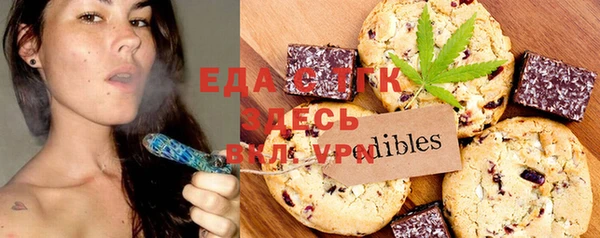 индика Горнозаводск