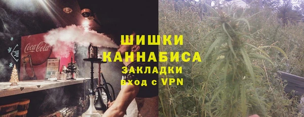 сатива Горно-Алтайск