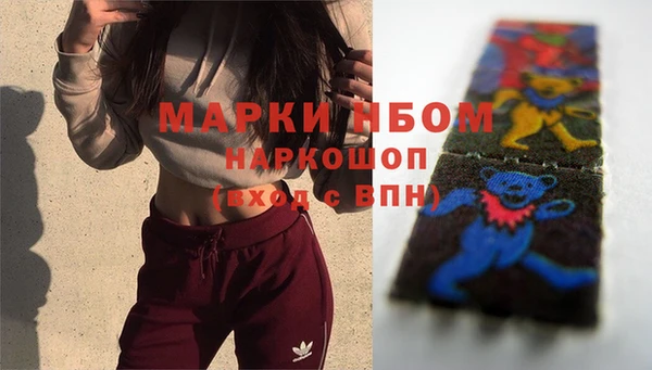 индика Горнозаводск