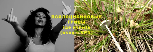 сатива Горно-Алтайск