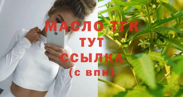 индика Горнозаводск