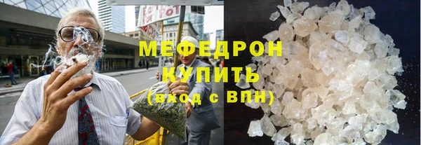 индика Горнозаводск