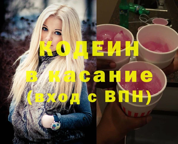 индика Горнозаводск