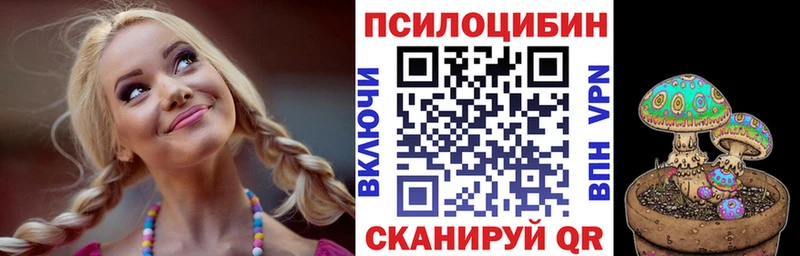 наркотики  мега ONION  Галлюциногенные грибы мицелий  Чкаловск 